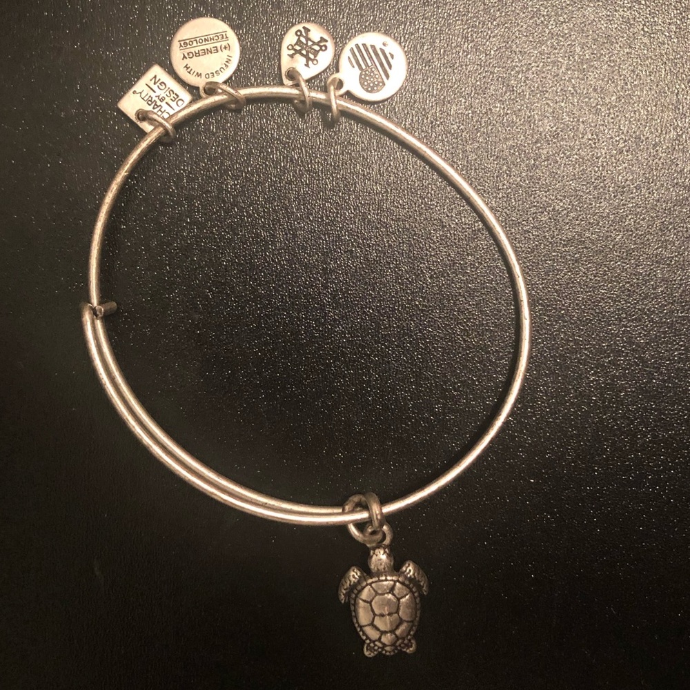 Alex and Ani Turtle Bracelet